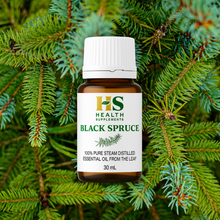 Black Spruce Essential Oil