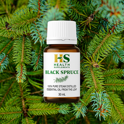 Black Spruce Essential Oil