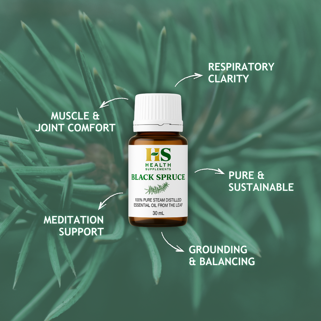 Black Spruce Essential Oil