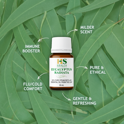 Eucalyptus Radiata Essential Oil